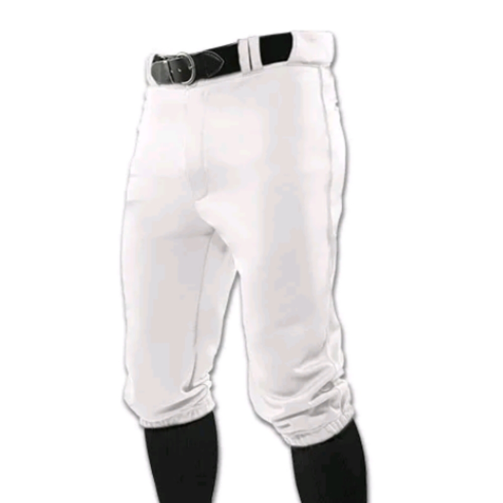Champro baseball pant youth M new